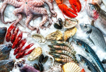 Kinh nghiệm chọn mua hải sản tươi