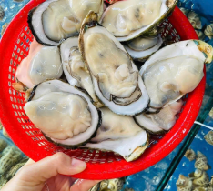 Hào Sữa