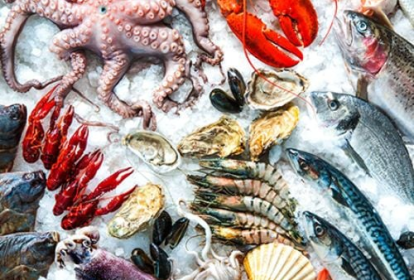 Kinh nghiệm chọn mua hải sản tươi